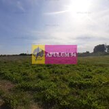 Teren investitie Ilfov